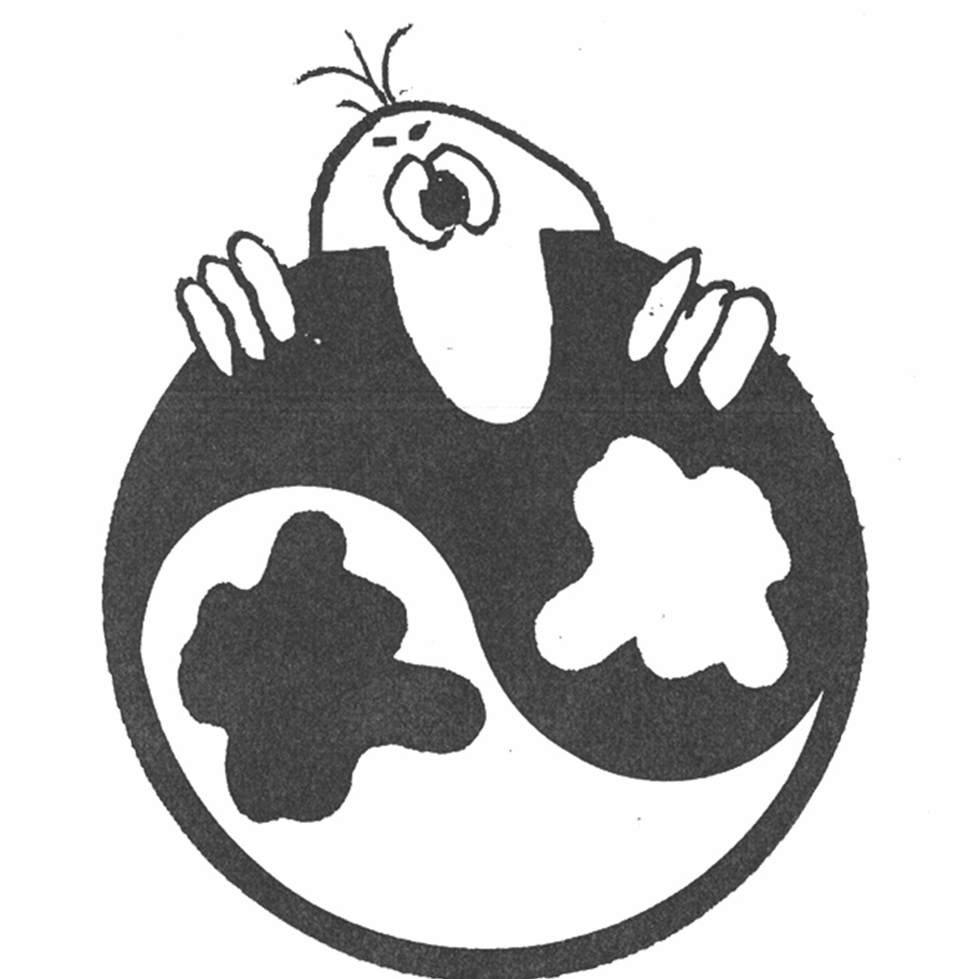 Superconscious Records