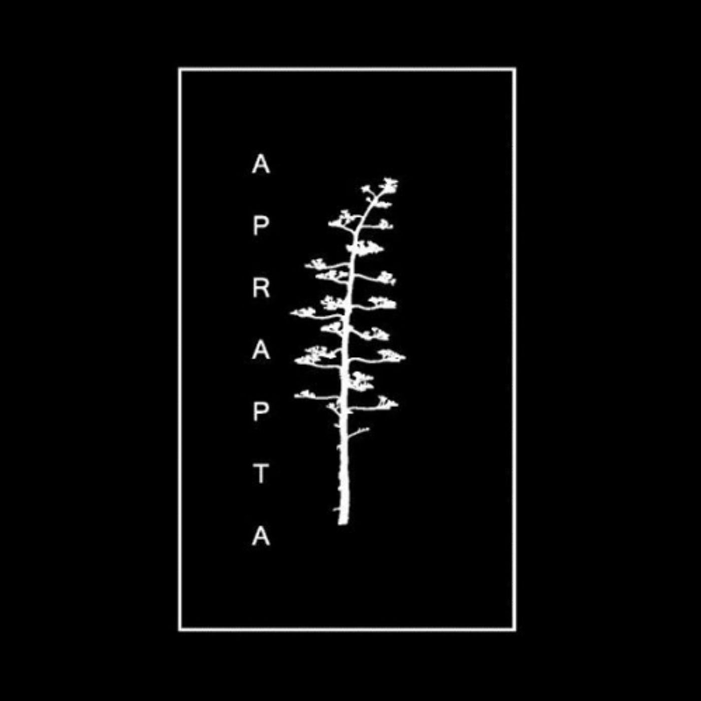 Aprapta Music